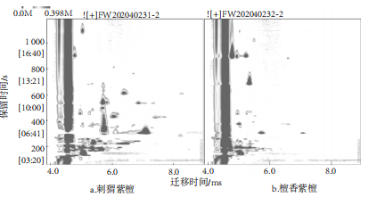 微信图片_2025-08-07_145004_849