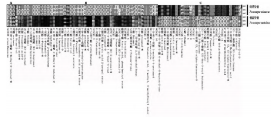 微信图片_2025-08-07_145014_718