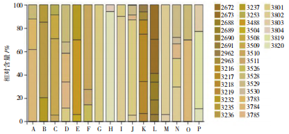 微信图片_20250724093905